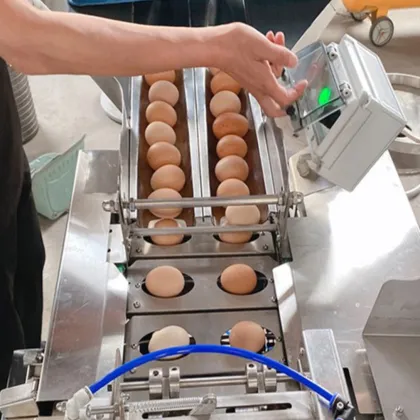 Egg Yolk Separator Machine