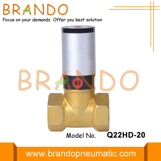 Q22HD-20 Pneumatic High Pressure Piston Valves AC220V DV24V