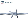 Galvaniserat rostfritt stål PVC -belagd taggtråd