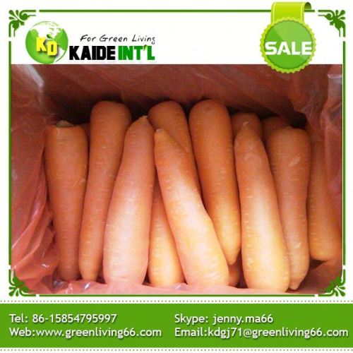 Wholesales Cheap 1kg Fresh Carrot