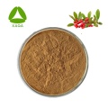 Coptis Chinensis استخراج مسحوق هيدروكلوريد البربرين