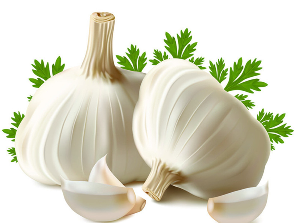 100% pure & natural garlic essential oil