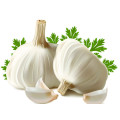 100% pure & natural garlic essential oil