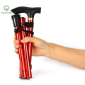 Fashion Telescopic Baton Hiking Trekking Poles