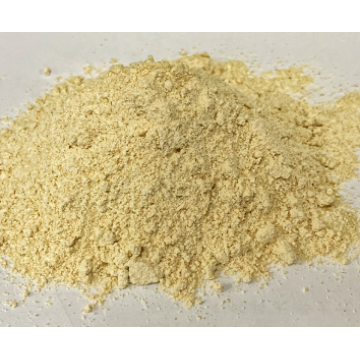 Pleurotus Eryngii Extract King Oyster Mushroom Extract