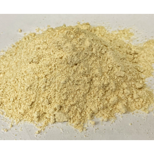 Pleurotus Eryngii Extract King Oyster Mushroom Extract