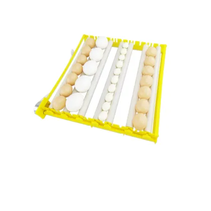 Commercial New Egg Incubator 42 Eggs Incubator with Eggs Roller Tray