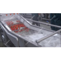 Strawberry Washing and Drying Line