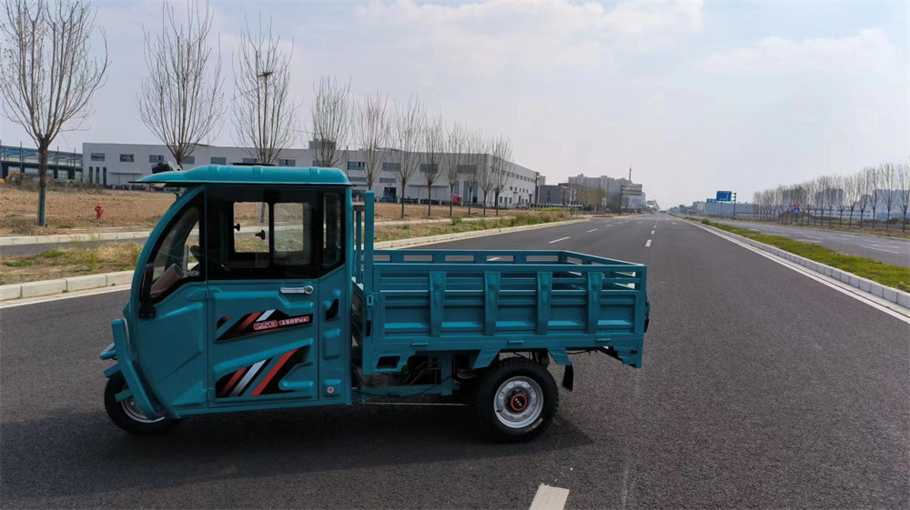 Side by Side Electric Tricycle