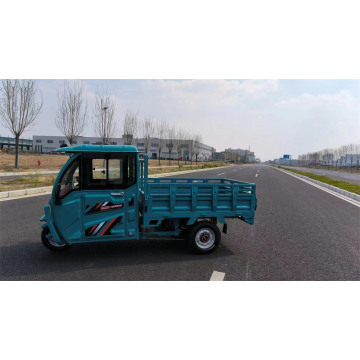 New electric passenger and cargo tricycle