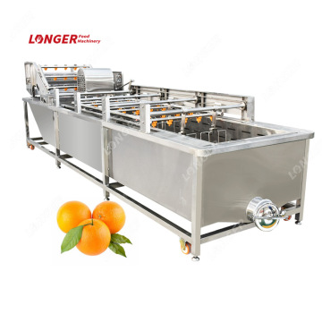 Orange Washing Process with Citrus Cleaning Machine
