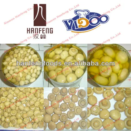 white button mushroom