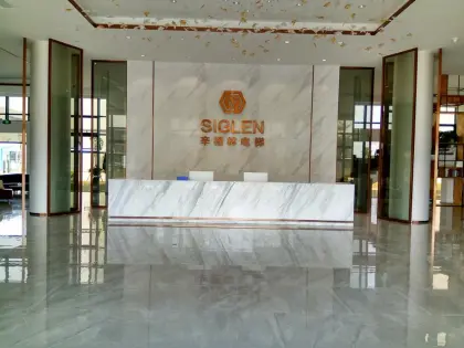Golden Color SIGLEN Passenger Elevator Lift - China Manufacturer