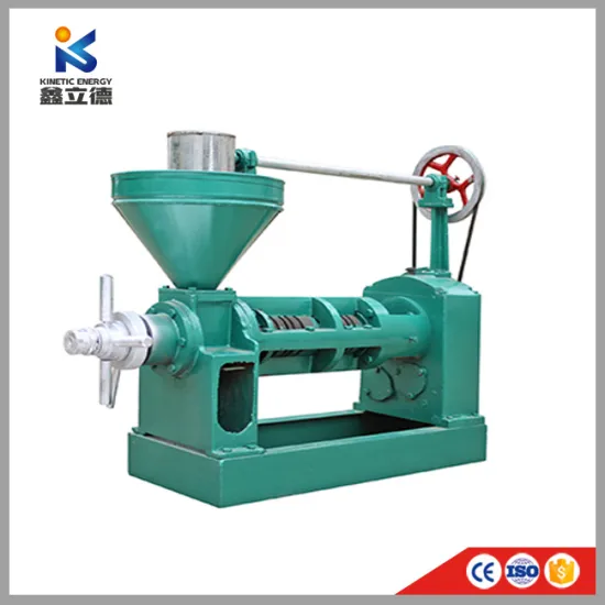 New Condition and Automatic Automatic Grade Screw Avocado Vegetable Oil Press