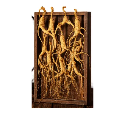 Pure Wild simulated ginseng