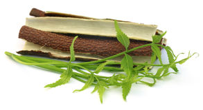 Neem Bark Extract 