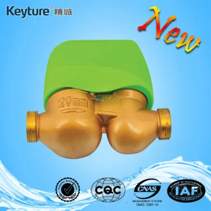 Green Color Residential Prepaid Water Meter