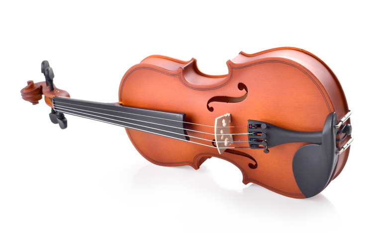 R 35 Violin Instrument