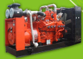 Gas Generatoren Leistung von 10 auf 250kVA mit 50Hz Frequenz