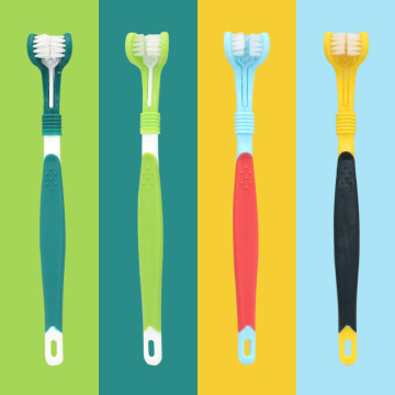 Pet three-head toothbrush oral care products