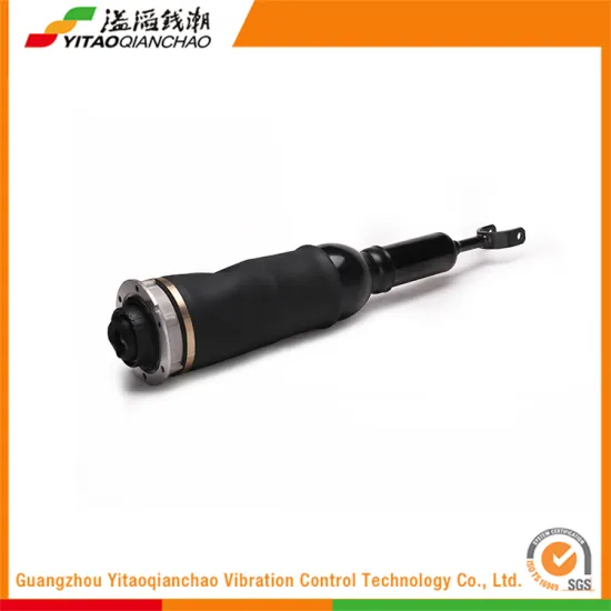 Best Selling Trucks Parts In American New Car Shock Absorber