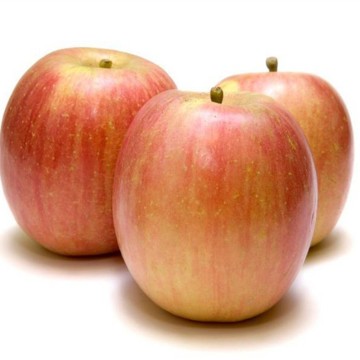 2015 new fresh Fuji apple from Chinese farm