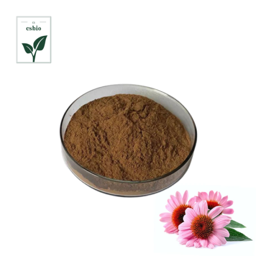 Echinacea Purpurea Extract Powder คุณภาพสูง Echinacea Purpurea Extract