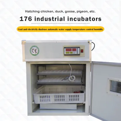 Industrial Automatic Egg Incubator for 176 Eggs