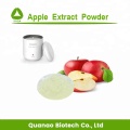 Aditivos alimentarios liofilizados en polvo de jugo de manzana roja