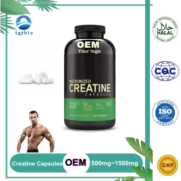 Label peribadi OEM Creatine Monohydrate Capsules