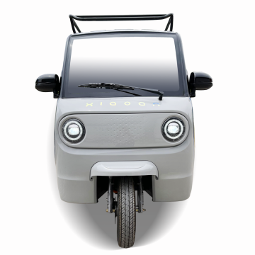 Electric Tricycles for Adults: Three-Wheel Passenger Electric Tricycles