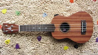 21`` ukulele