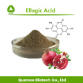 Wasserlösliche Ellaginsäure 40% Granatapfel-Peel-Extrakt