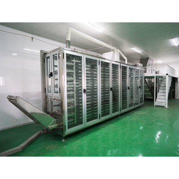 Linea di produzione di noodle bollita