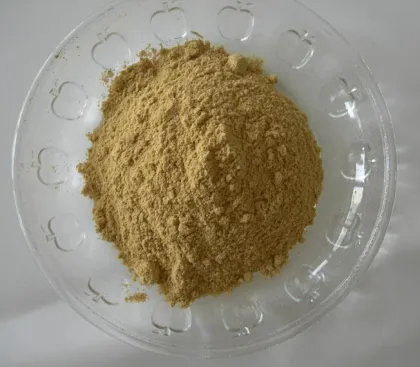 Bitter melon powder Momordica Charantia Linn.