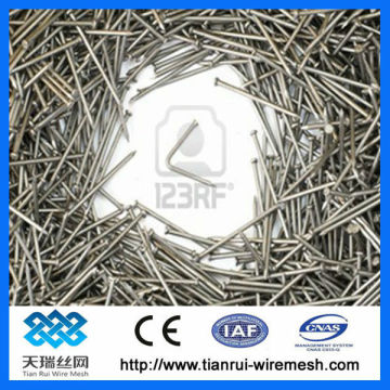 All size of good quality galvanized common nails