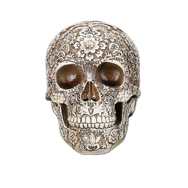 1: 1 Resina Human Head Skull