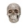 1:1 resin human head skull