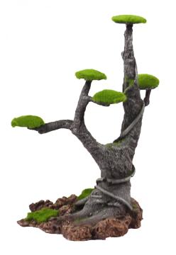 Drift Wood plants moss stone tree