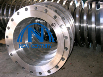BS3293 standard flange FORGED