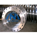 BS3293 standard flange FORGED