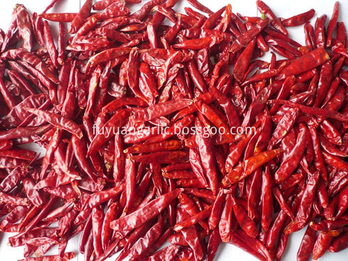 Hot Spicy Chaotian Chili