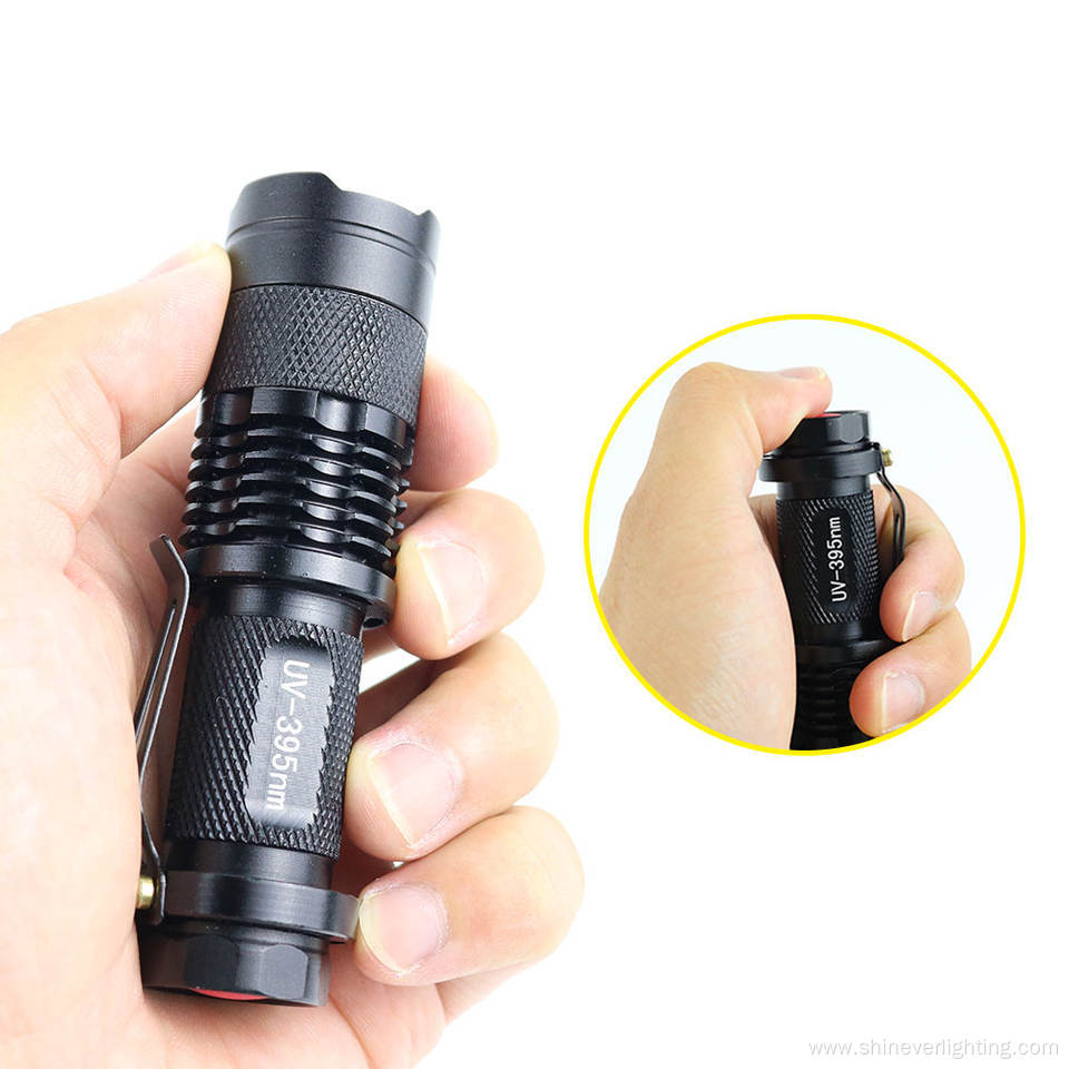 Waterproof IP54 Mini Portable Torch Light