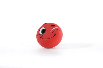 Funny Face Interactive Dog Toy for Fetch & Chewing