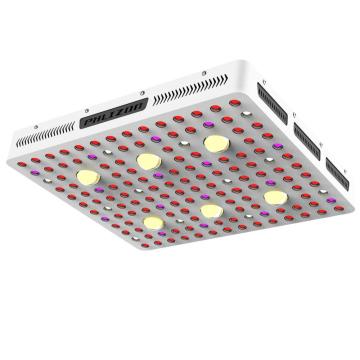 Phlizon 600W COB LED Tumbuh cahaya