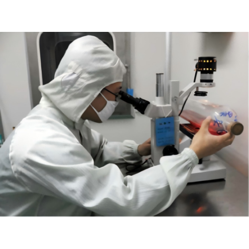 Vaccin contre la streptococcose porcine, inactivé