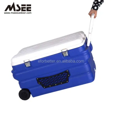Plastic Eskimo Cooler Box Thailand" could be refined to something more search-engine friendly like:

"Eskimo Plastic Cooler Boxes for Sale in Thailand