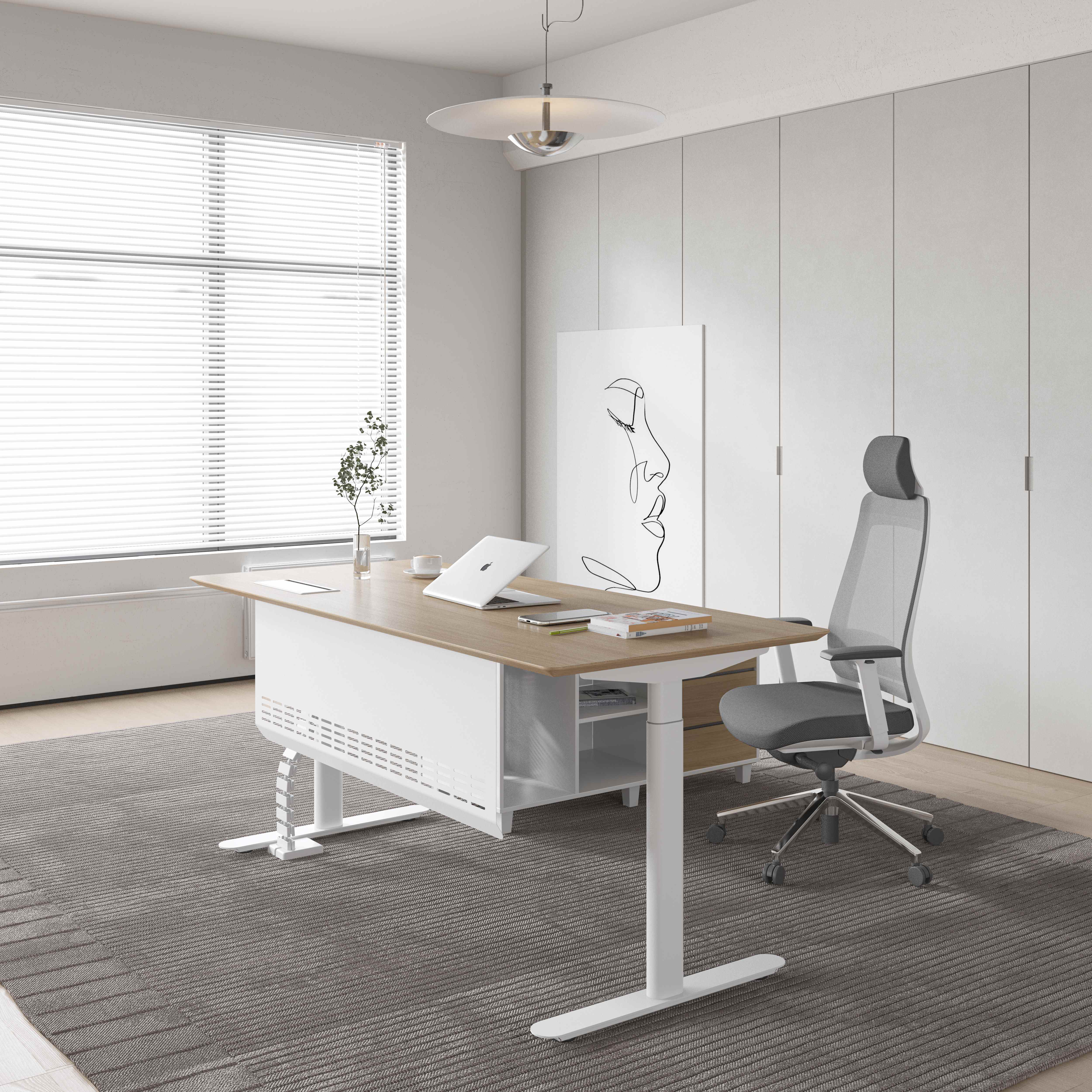 Professional manufacturing facility for adjustable desks