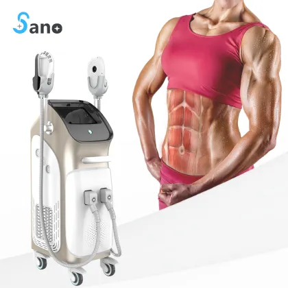 2022 Sanolaser Muscle Building and Fat Removal Machine