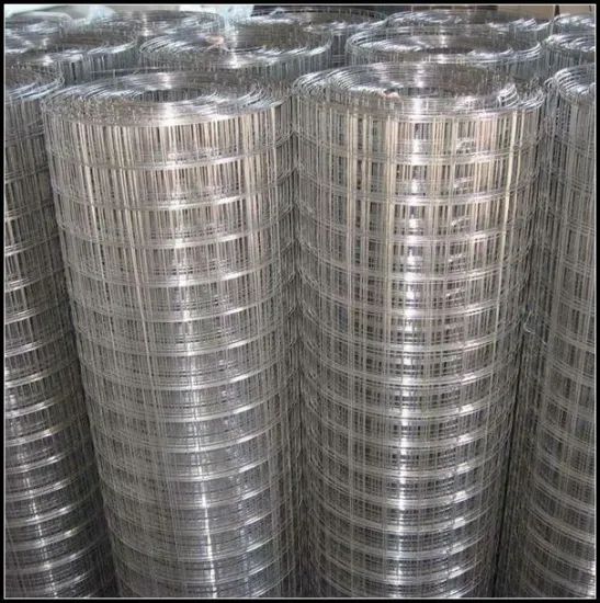 breeding welded wire mesh ,welded wire mesh,chicken duck goose welded wire mesh